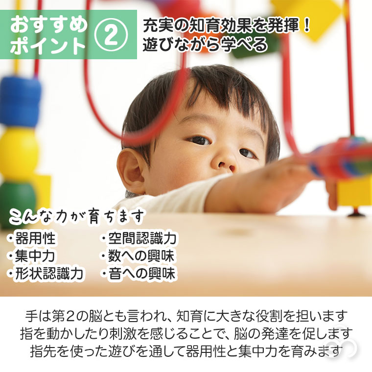 エド・インター (レビュー特典あり) エドインター ジェニ 森の