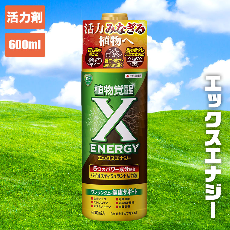 【イクラ[プロフ必読 水、木曜日お休み]】みょうが☆茗荷☆400g☆長崎県 GEX 金魚元気 金魚のフンを分解 ニオイを抑える プロバイオ