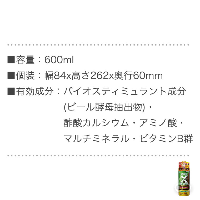 Happy☆ページ カワサキ Ninja ZX 25R SE KRT EDITION】中野真矢×平嶋夏海