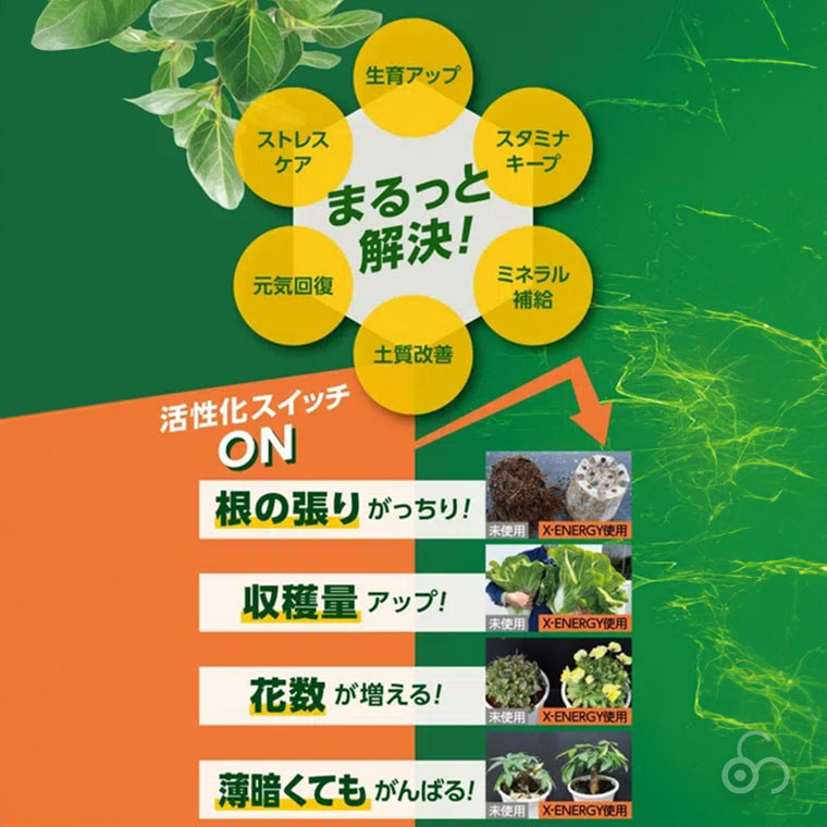 住友化学園芸 X-ENERGY エックスエナジー 600ml 4975292604778