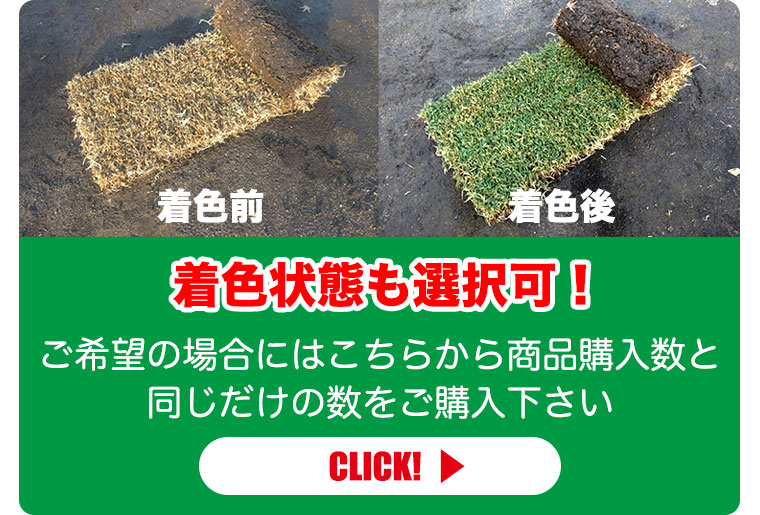 着色料