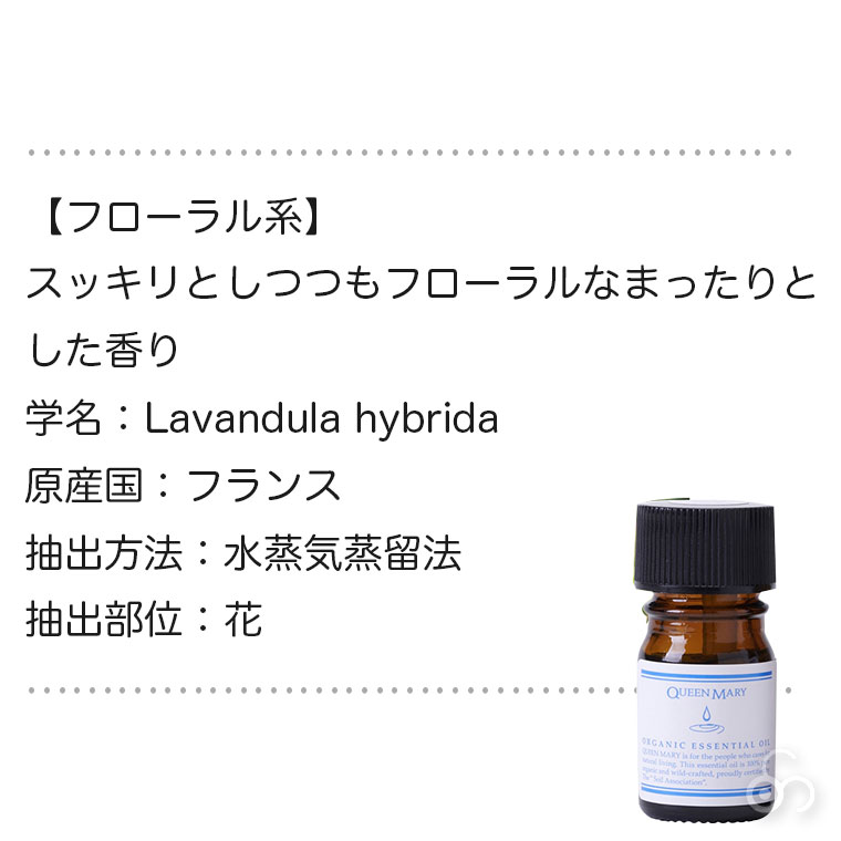 Flavor Life（フレーバーライフ） Flavor Lifeクイーンメリー