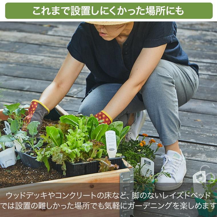 レイズドベッド エープラスデザイン ガーデンボックス専用 キャスター付きベース 800×300mm プランター 植木 花壇 家庭菜園 DIY ad-0803base |  | 05