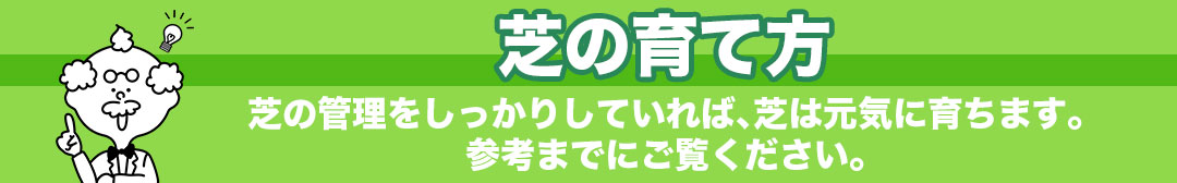芝の育て方 芝の管理をしっかりしてあげれば、芝は元気に育ちます。参考までにご覧下さい。