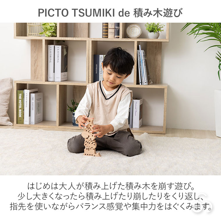 BROTO PROJECT PICTO TSUMIKI -Construction 積み木 つみき