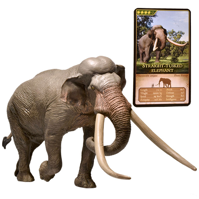 Eofauna 1/35 サイズ デイノテリウム 恐獣 象 大きい 絶滅 動物 Amazon | Eofauna 1/35 サイズ デイノテリウム 恐獣 象 大きい