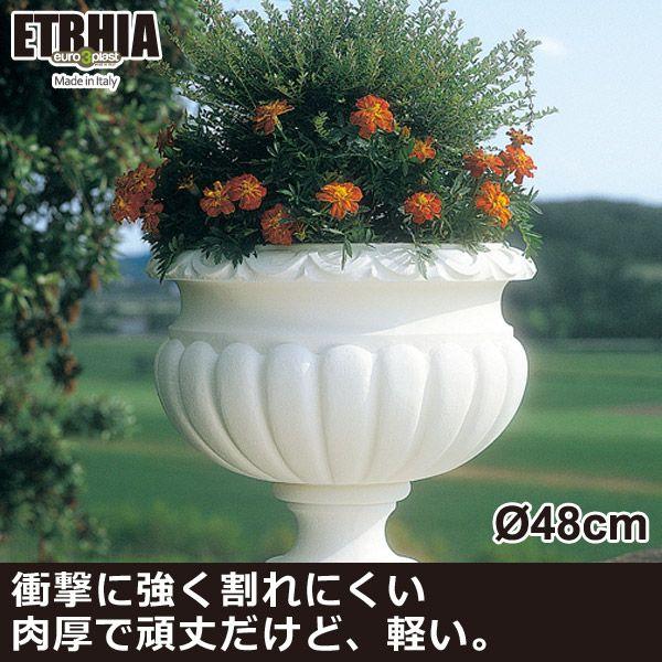 ץ󥿡 緿  Euro 3 Plast Etrhia Etrusca 桼꡼ץ饹 ȥꥢ ץ󥿡 ȥ饹48 ER-1181W