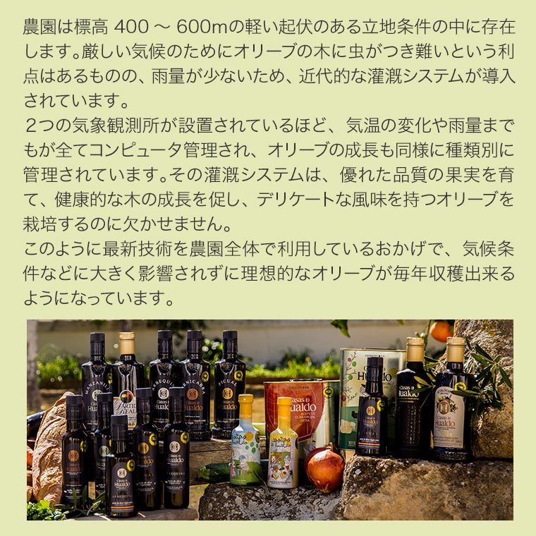最高級エキストラヴァージンオリーブオイル カサス・デ・ウアルド パルティーダ・レアル 500ml |  | 14