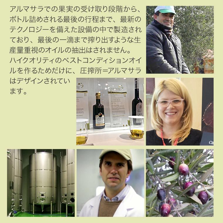 最高級エキストラヴァージンオリーブオイル カサス・デ・ウアルド パルティーダ・レアル 500ml |  | 16