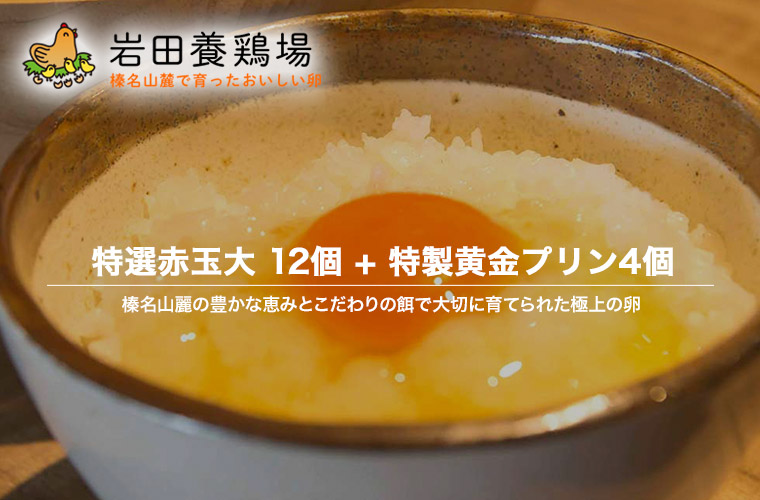 黄金プリン 4個入り 赤玉大 12個入り(6個×2パック) 詰め合わせ 岩田養鶏場 岩田のおいしい卵 榛名 榛東村 送料無料