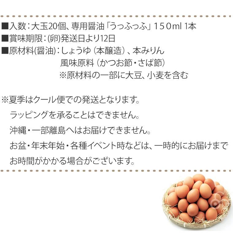 (クール便) 卵 産直 厳選赤玉大 20個入り(10個2パック) 卵かけこだわりセット TKG 卵かけご飯 岩田養鶏場 岩田のおいしい卵 榛名 榛東村 送料無料｜iberia｜13