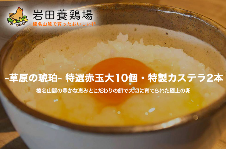 特製カステラ 2本入り 厳選赤玉大 10個入り 詰め合わせ 草原の琥珀 岩田養鶏場 岩田のおいしい卵 榛名 榛東村 送料無料