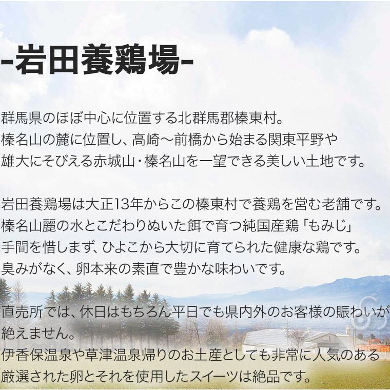 特製カステラ 2本入り 厳選赤玉大 10個入り 詰め合わせ 草原の琥珀 岩田養鶏場 岩田のおいしい卵 榛名 榛東村 送料無料