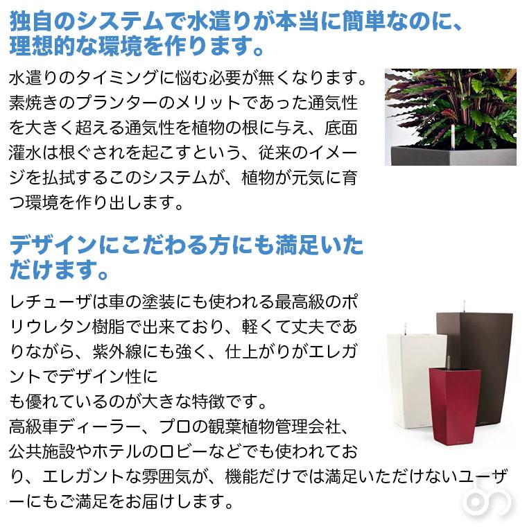 プランター レチューザ ラウンド35 LE-7035 LECHUZA 底面給水 底面灌水