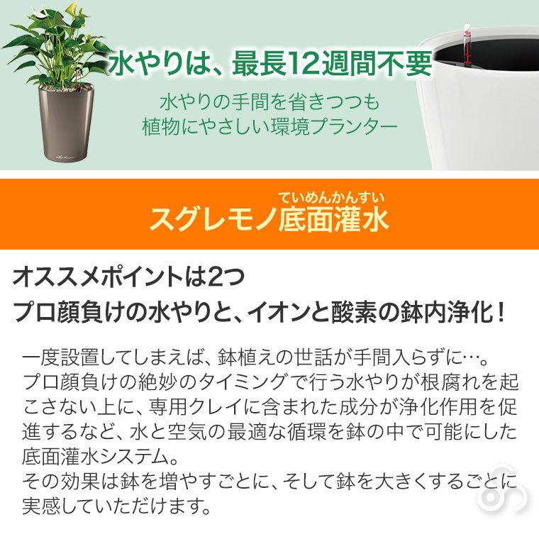 プランター レチューザ ラウンド60 LE-7060 LECHUZA 底面給水 底面灌水