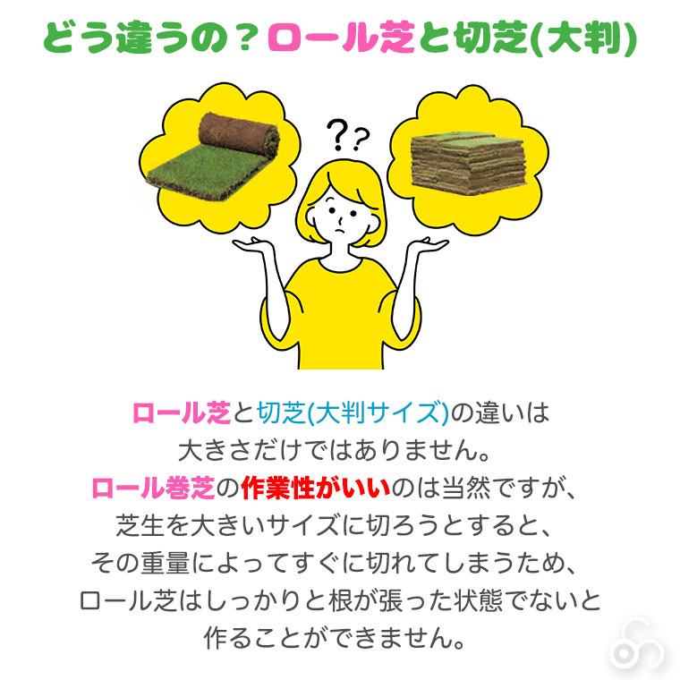 どう違うの？ロール芝と切り芝