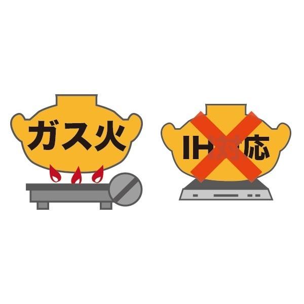 長谷園 伊賀土鍋 雑炊鍋(1から2人用) ANM-34 6号 | 長谷園 | 04