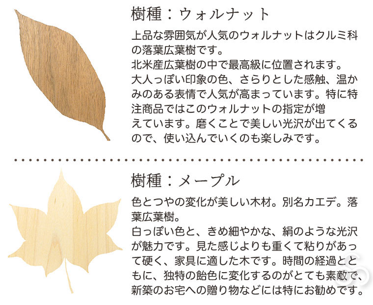 cosine (プレゼント付) コサイン ドレスラック オプショントレー