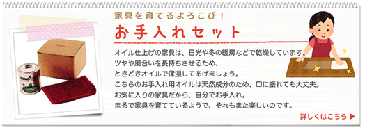 お手入れセット