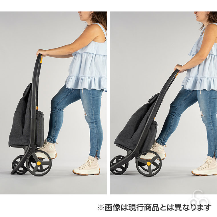 ROLSER（ロルサー） ショッピングカート ROLSER 8PLUS POLAR RS-001PS