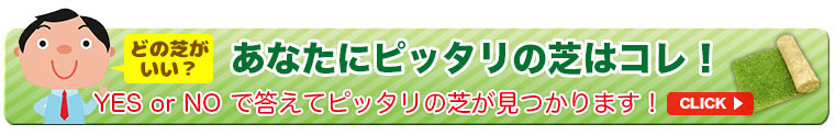 あなたにぴったりの芝はこれ！
