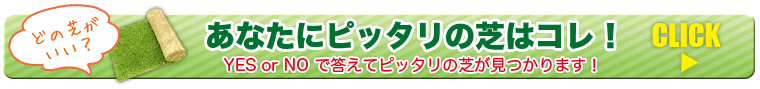 あなたにぴったりの芝はこれ！