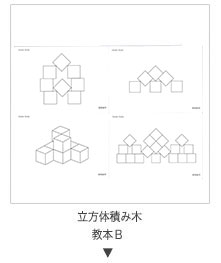 Smilekids スマイルキッズ 立方体積み木 教本Ｂ パターンブック ニキーチン 幼児教育 お受験 知育玩具 SK-018