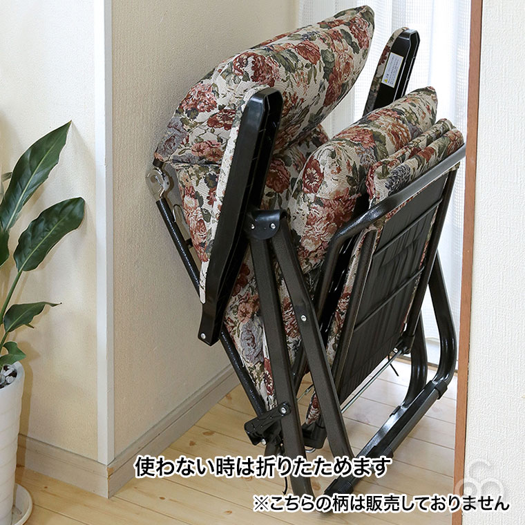 谷村実業 Vita スライドリクライニングチェア TAN-800 フットレスト
