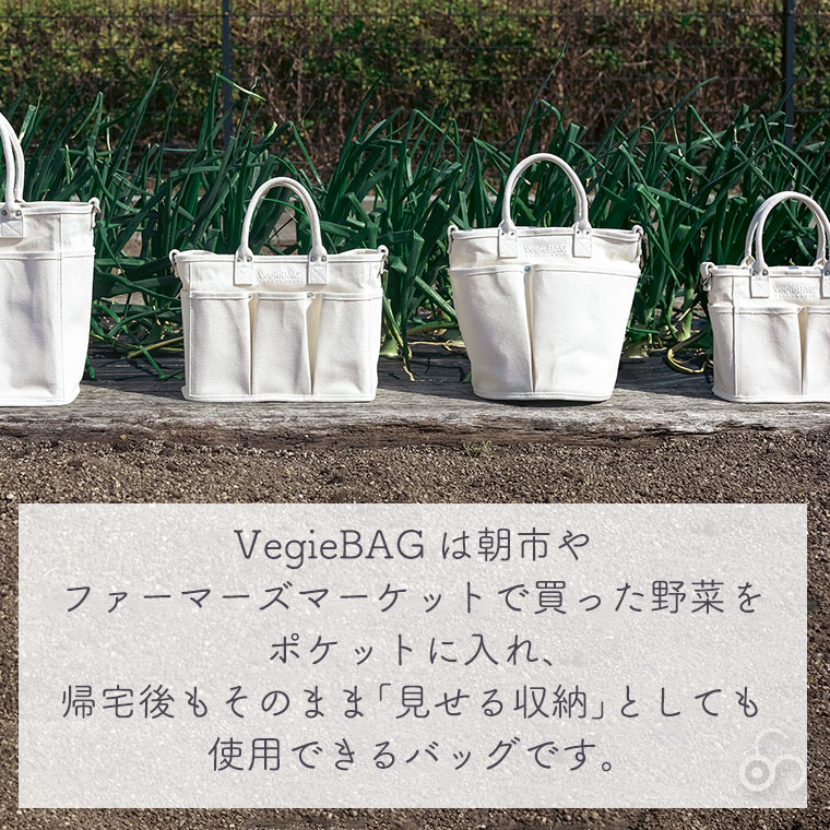 VegieBAG ベジバッグ LARGE ラージ KINARI VC-101 トートバッグ | VegieBAG | 06
