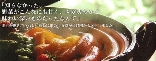 長谷園 (予約注文 2026年3月発送予定) 伊賀焼 ヘルシー蒸し鍋 白 中