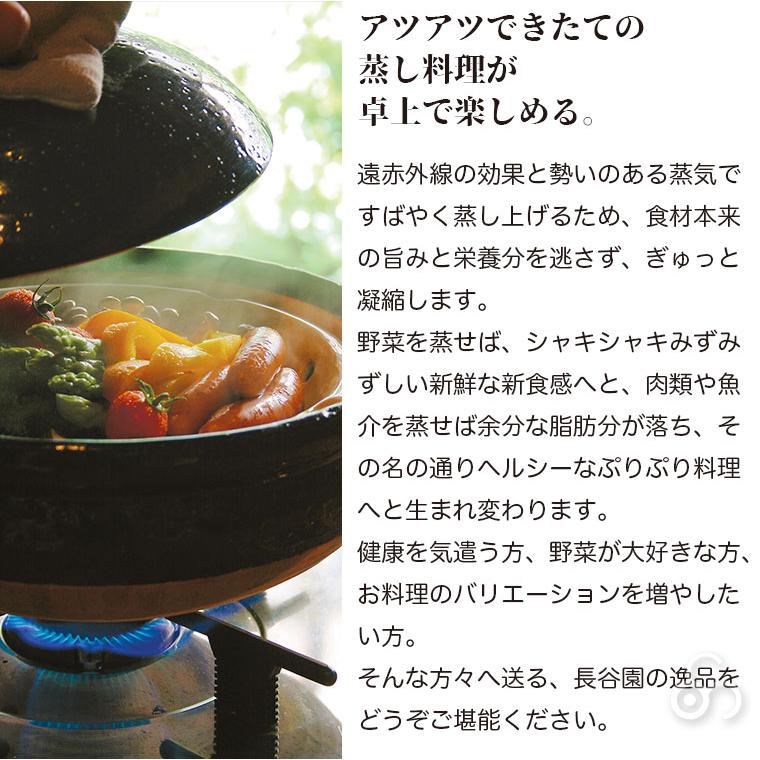 長谷園 蒸し料理用土鍋 伊賀焼 ヘルシー蒸し鍋 黒 中 AZW-22