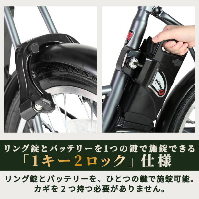 rover　20インチ　外装6段変速　ledオートライト　かご　キャリア付き ローバー ROVER CHESTAR FDB206E 電動アシスト自転車 折りたたみ 20