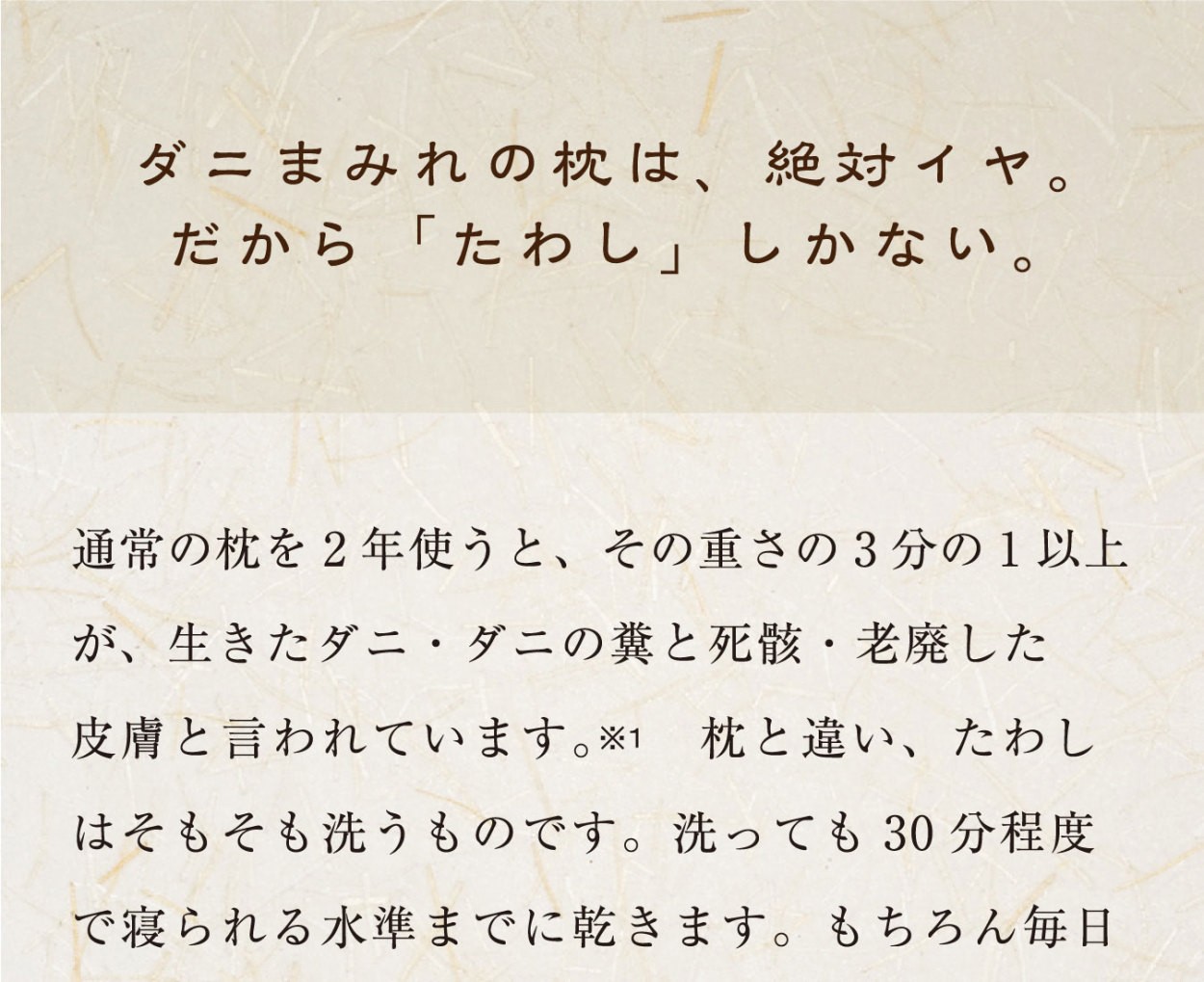 枕 まくら ピロー たわし枕 元祖 速乾 ダニ 臭い カビ 対策 睡眠用たわし Az 490 No 1 枕と快眠研究所 通販 Yahoo ショッピング