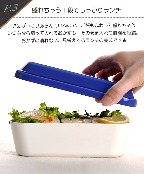 弁当箱 サブヒロモリ フルーシー コンテナランチ１段 レディース