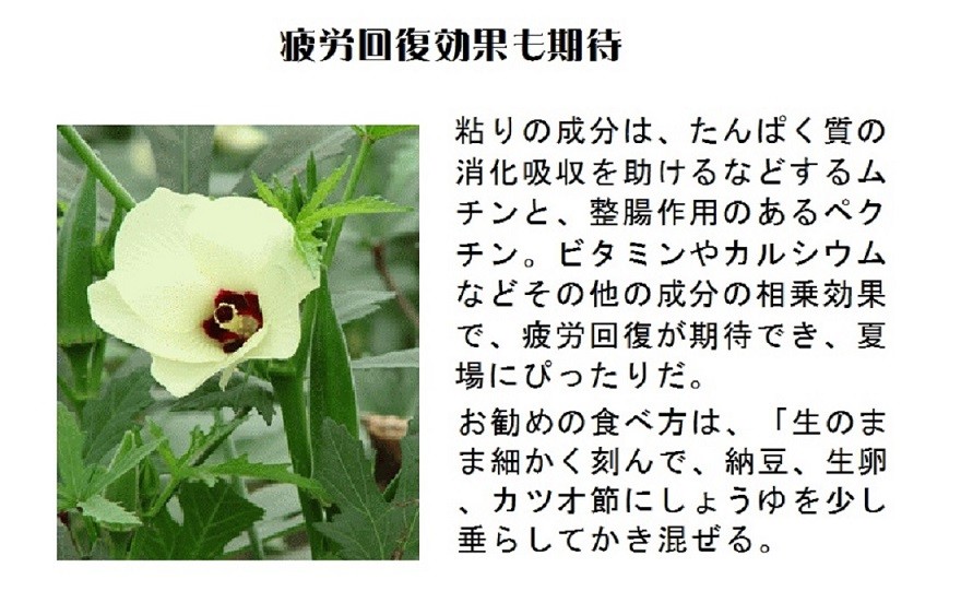 オクラの保存方法
