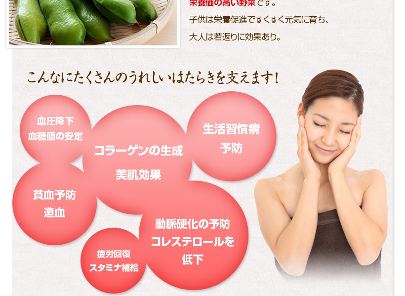 そら豆はこんなにたくさんの嬉しい働きを支えます