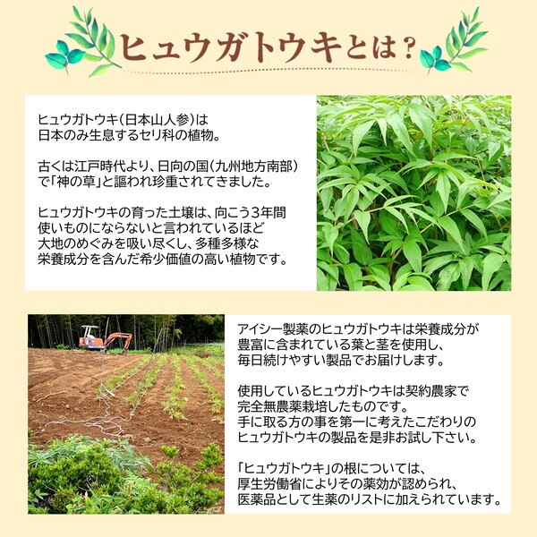 ヒュウガトウキ お茶 サプリ 茶 効能 青汁 180粒 日本山人参茶 無農薬 国産 : 003-00001 : アイシー製薬株式会社 - 通販 -  Yahoo!ショッピング