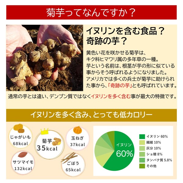 菊芋茶 菊芋サプリ イヌリン サプリ 菊芋の効能 糖尿病 食物繊維 血糖 