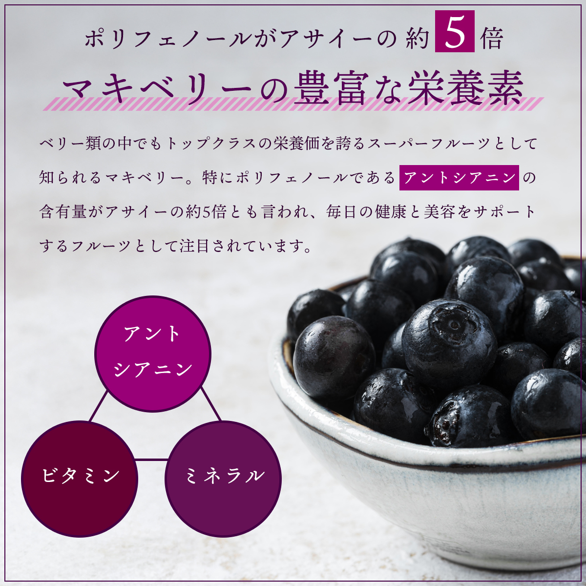 オーガニック マキベリーパウダー 100g チリ産 有機マキベリー 粉末