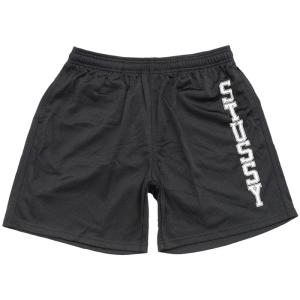 ステューシー ハーフパンツ STUSSY メンズ Collegiate Mesh ( stussy ...