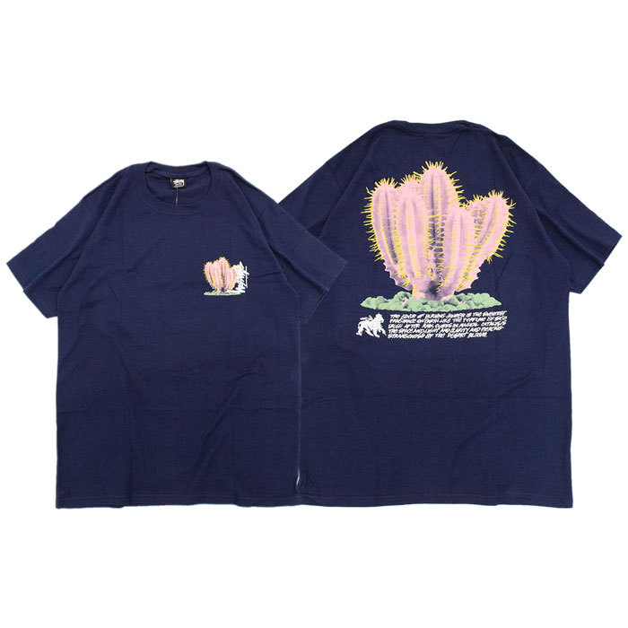 STUSSY ステューシー Tシャツ 半袖 メンズ & レディース Desert
