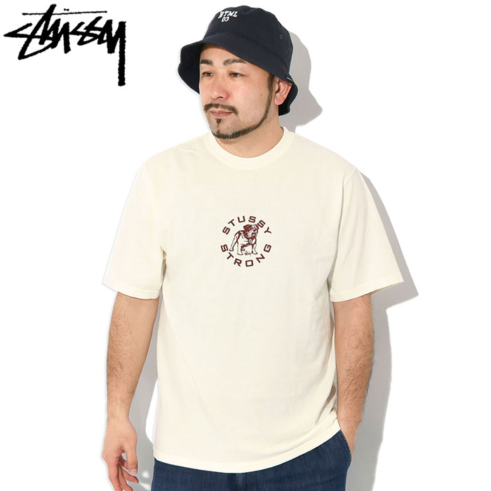 ステューシー Tシャツ 半袖 STUSSY メンズ Strong Mac Pigment Dyed ( stussy tシャツ tee ピグメント カットソー トップス 1905086 USAモデル 正規 )[M便 1/1] | STUSSY | 01