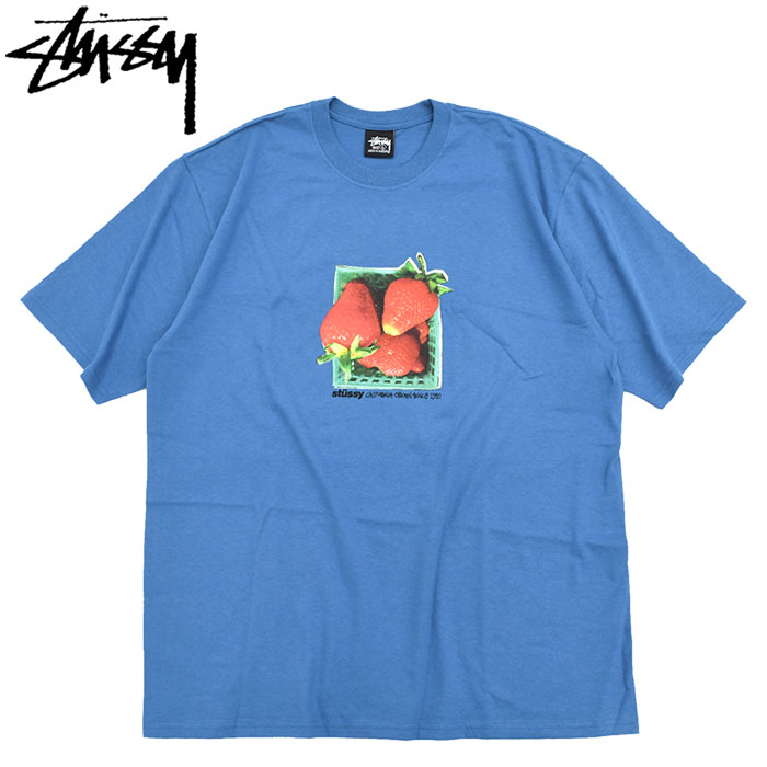STUSSY（ステューシー） Tシャツ 半袖 メンズ Berries ( stussy tee T