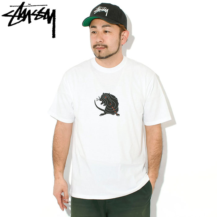 STUSSY（ステューシー） Tシャツ 半袖 メンズ Long Range ( stussy tee