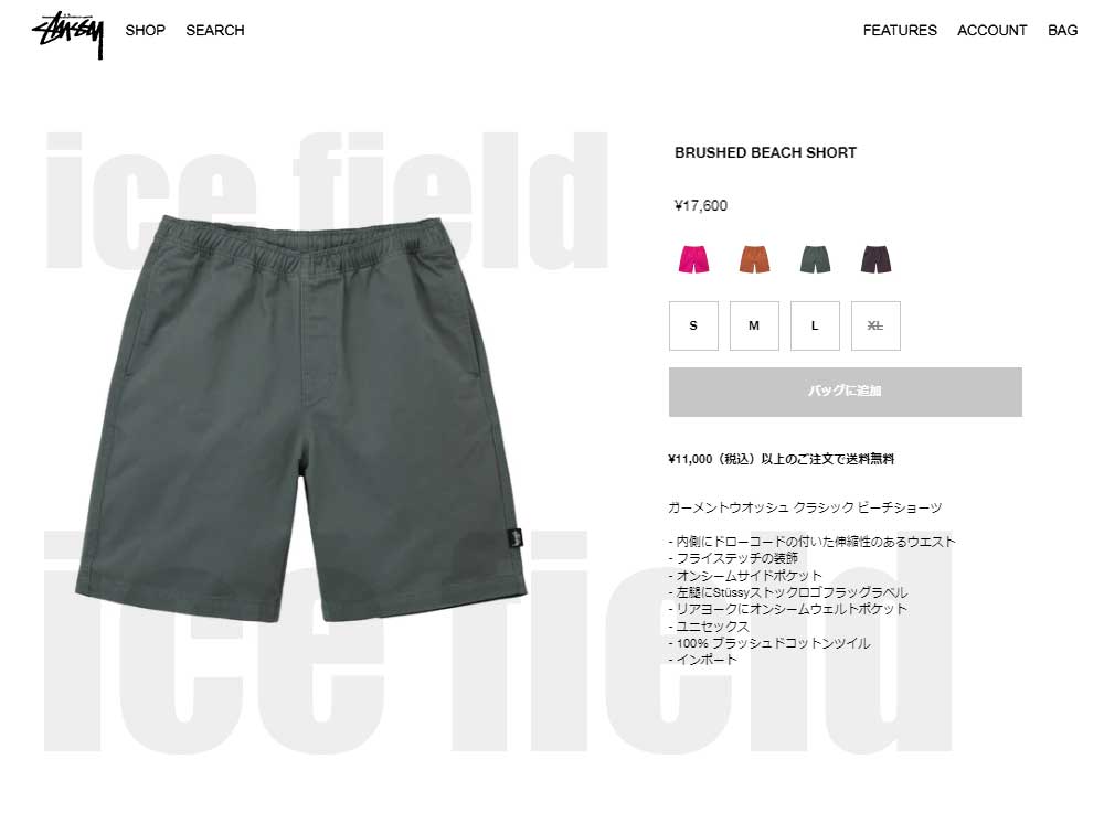 21SS Stussy BRUSHED BEACH SHORT 短パン+storksnapshots.com