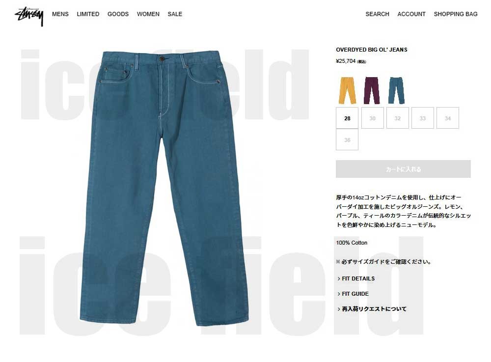 ステューシー パンツ STUSSY メンズ Overdyed Big OL(stussy jean