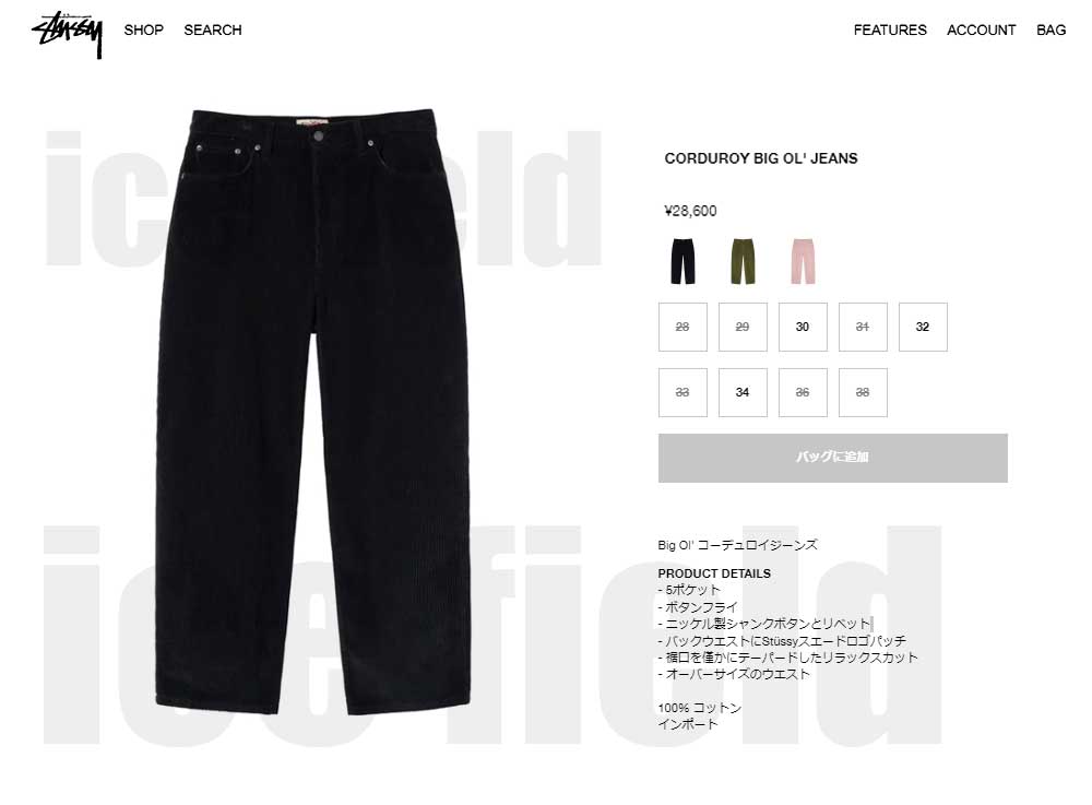 STUSSY ステューシー パンツ メンズ Corduroy Big OL ( stussy