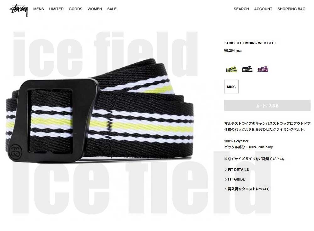 STUSSY ステューシー ベルト メンズ Striped Climbing Web