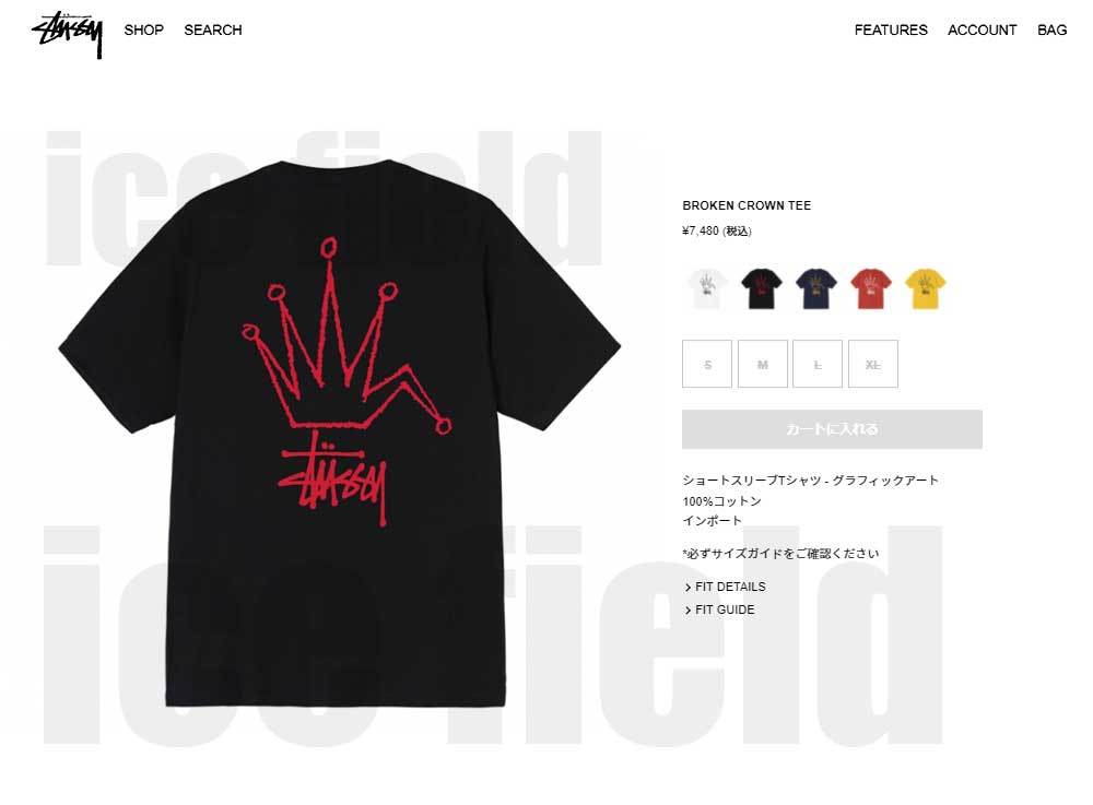 STUSSY（ステューシー） Tシャツ 半袖 メンズ & レディース Broken