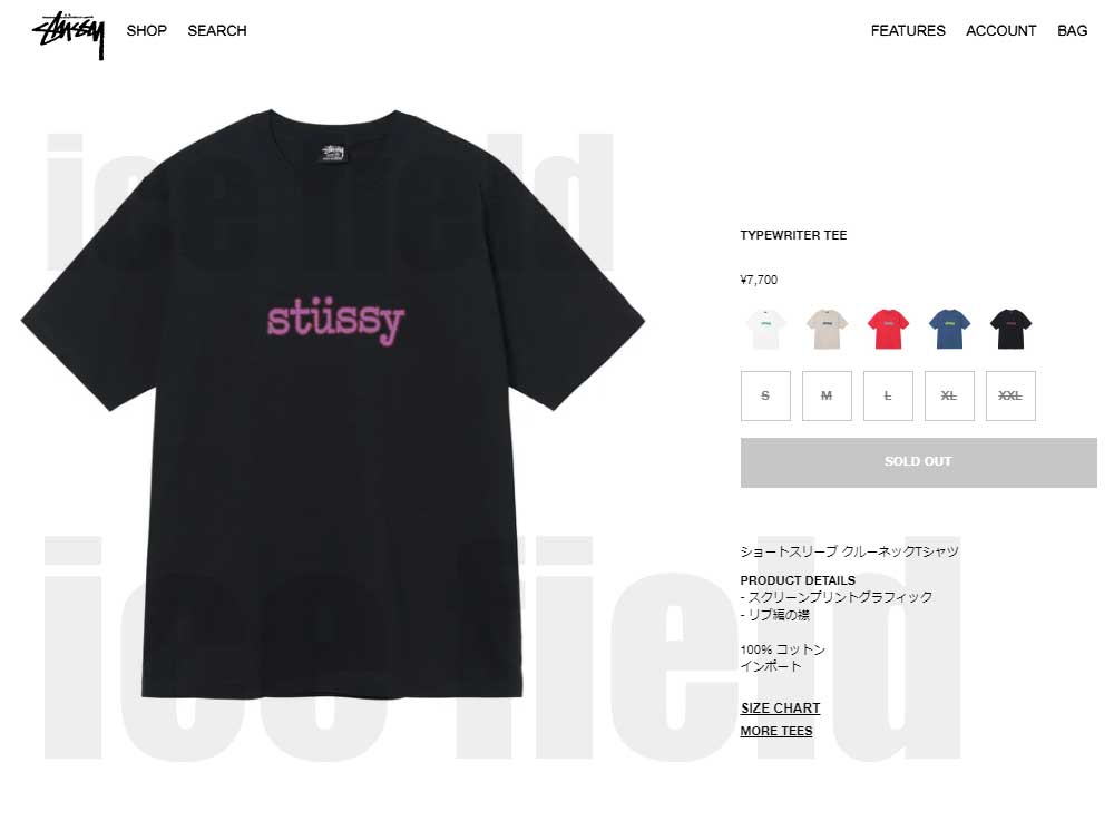 STUSSY ステューシー Tシャツ 半袖 メンズ Typewriter ( stussy